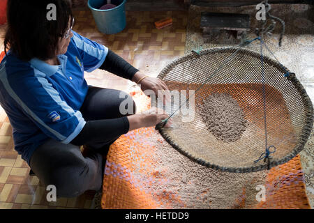 Eine Frau aus der ethnischen Gruppe der Melanau schafft Sago Kugeln für Kekse im Dorf Dalat, Sarawak, Malaysia Stockfoto