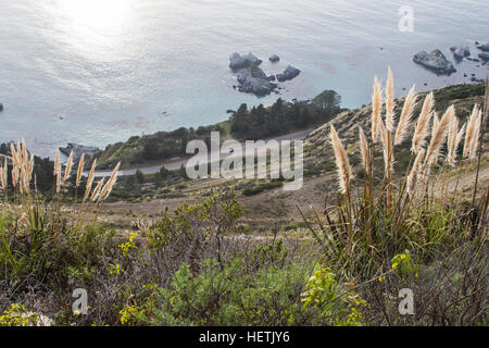 Pacific Coast Highway (PCH) (Highway einer) schmiegt sich an die Küste in Big Sur, Kalifornien USA Stockfoto