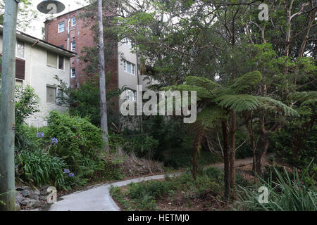 Cremorne Point Vorland Spaziergang auf Sydneys Lower North Shore. Stockfoto