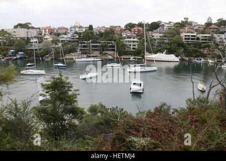 Blick Richtung Mosman Bay und Häuser zu einem Kurraba Zeitpunkt vom Cremorne Point Vorland Weg auf Sydneys Lower North Shore. Stockfoto