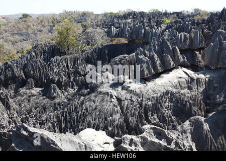 Hoch aufragende Kalkstein Pinnacles in Grand Tsingy im Nationalpark Tsingy de Bemaraha Stockfoto