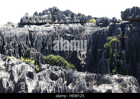 Hoch aufragende Kalkstein Pinnacles in Grand Tsingy im Nationalpark Tsingy de Bemaraha Stockfoto