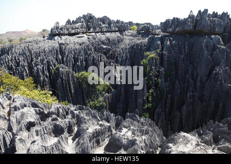 Hoch aufragende Kalkstein Pinnacles in Grand Tsingy im Nationalpark Tsingy de Bemaraha Stockfoto