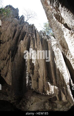 Hoch aufragende Kalkstein Pinnacles in Grand Tsingy im Nationalpark Tsingy de Bemaraha Stockfoto