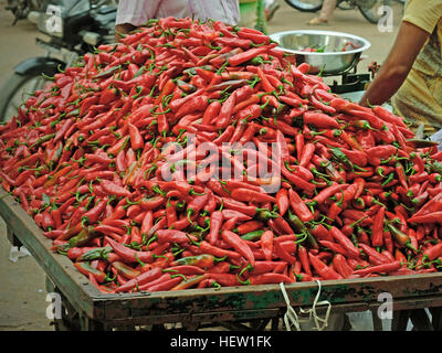 Rote Chilischoten in ein Gujarati Straßenmarkt verkauft. Sie sind in Indien als eine der wichtigsten Zutaten in Currys verwendet. Stockfoto