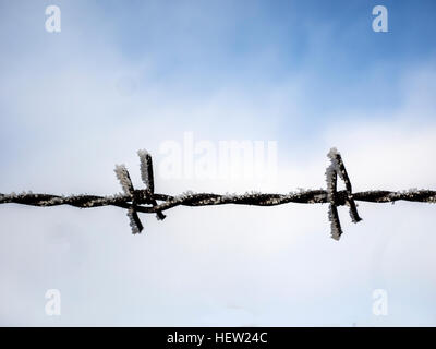 Stacheldraht im Winter mit Schnee und Frost vor einem Himmel bedeckt Stockfoto