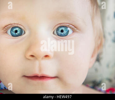 Porträt von blue eyed Babymädchen Blick in die Kamera beschnitten Stockfoto