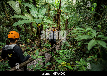 Wanderer, die hölzerne Brücke im Wald, Ban Nongluang, Champassak Provinz, Paksong, Laos Stockfoto