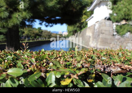 Der Wassergraben vor historischen Nijo Castle in Kyoto, Japan Stockfoto