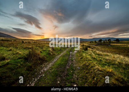 Pfad zu den Sonnenaufgang in den Cairngorms National Park, Schottland. Stockfoto