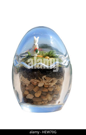 Terrarium Garten in kleinen Ei Glas Dekor mit Moos und kleine Kaninchen auf weißem Hintergrund. Stockfoto