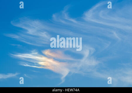 Sundog aus Bosque del Apache National Wildlife Refuge, New Mexico, USA. Stockfoto