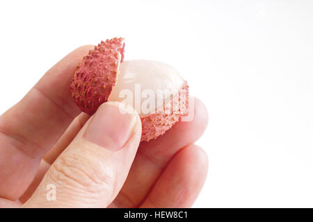 Hand, die einen geöffneten Litschi (Litchi Chinensis) Stockfoto