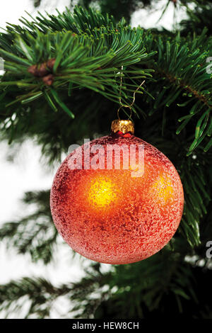 Rot gold Kugel Christbaumschmuck aus dem Zweig von einem Weihnachtsbaum hängen Stockfoto