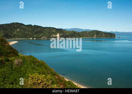 Regenerierende Wald hoch über dem tiefblauen Wainui Bay in sehr nördlichen Teil des Abel Tasman National Park. Stockfoto