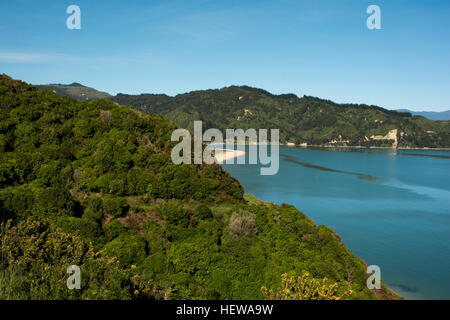 Regenerierende Wald hoch über dem tiefblauen Wainui Bay in sehr nördlichen Teil des Abel Tasman National Park. Stockfoto