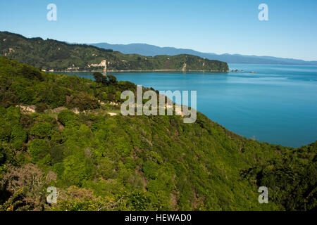 Regenerierende Wald hoch über dem tiefblauen Wainui Bay in sehr nördlichen Teil des Abel Tasman National Park. Stockfoto