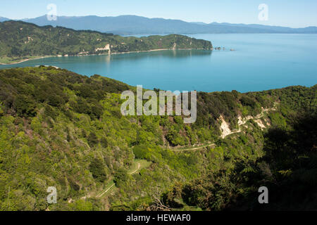 Regenerierende Wald hoch über dem tiefblauen Wainui Bay in sehr nördlichen Teil des Abel Tasman National Park. Stockfoto