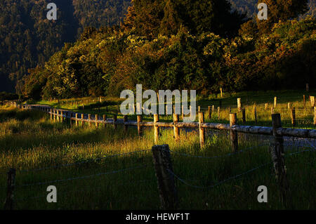 Ication (,), Landleben, Landstraßen, die Straße hinunter, Abendspaziergang, FlickrElite, Landschaft, ländlich, rustikalen FenceCountry Leben, Zaun Stockfoto