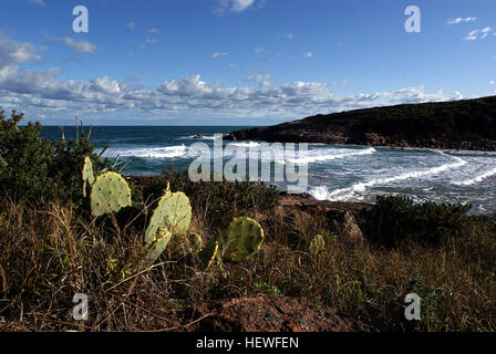 Fishermans-Bucht ist ein kleiner Vorort von Port Stephens lokale Regierung Bereich in der Hunter-Region von New South Wales, Australien. Es befindet sich an der Küste von der Tasmanischen See angrenzend an Anna Bay. Ein großer Teil des östlichen Teils des Vororts von Nationalpark besetzt ist und nur ein sehr kleiner Teil der Süd-westlichen Ecke des Stadtteils wird aufgefüllt. Der Vorort ist benannt nach der benachbarten Bucht Stockfoto