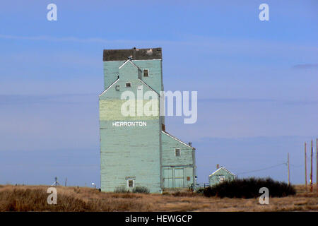Herronton, ein kleiner Weiler südöstlich von Calgary, Alberta, ist für seinen historischen Getreideaufzug bekannt. Der Getreideaufzug ist einer der wenigen in der Region, was die landwirtschaftliche Geschichte der Region und die traditionelle Rolle der Landwirtschaftsgemeinden in der Entwicklung Albertas widerspiegelt. Stockfoto