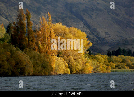 Dieses atemberaubende Landschaftsfoto fängt die Schönheit der Südinsel Neuseelands im Herbst ein und zeigt die goldenen Farben des Sees und die umliegende Landschaft in Queenstown und Otago. Stockfoto