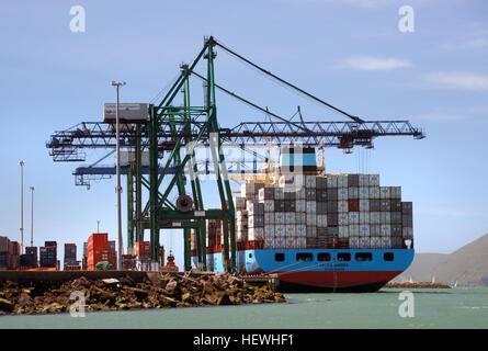 Containerkrane, auch bekannt als Schiff-zu-Land-Krane, werden an Containerterminals zum Be- und Entladen intermodaler Container von Schiffen eingesetzt. Sie sind mit einem Verteilermechanismus ausgestattet, um Behälter effizient zu handhaben. Stockfoto