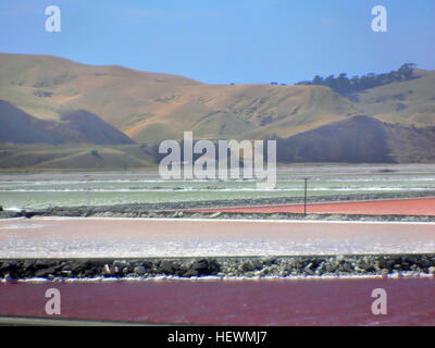 Dieses Bild zeigt die Salzernte in den Grassmere Salt Works in Neuseeland. Es zeigt die Kristallisation von Meersalz in Solarkalzteichen und hebt den natürlichen Prozess der Salzproduktion hervor. Stockfoto