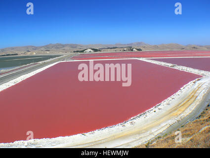 Herrschaft Salz – enthält Lake Grassmere Meerwasser knapp 2,5 Prozent Natriumchlorid, sowie erhebliche Mengen an anderen Salz. Etwa 60.000 bis 70.000 Tonnen Salz werden jedes Jahr vom Lake Grassmere geerntet. Meerwasser wird in dem Hauptsee 688 Hektar kontinuierlich Sommerflugplanperiode gepumpt. Wie die Natur seine Arbeit macht und Verdampfung das Meerwasser stärkt, wird es in eine Reihe von Teichen, wo weitere Verdunstung erfolgt die Konzentration gepumpt. Wenn die Sole Sättigungspunkt erreicht ist es während der Sommermonate in Kristallisation Teiche übertragen. Stockfoto