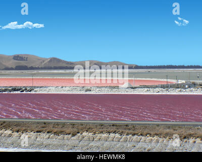 Herstellung von Salz in See Grassmere ist ein Prozess der Konzentration des Salzgehalt des Meerwassers durch Verdunstung, dann Ernte das auskristallisierte Salz. Stockfoto