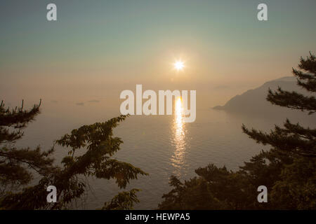 Blick auf den Sonnenuntergang am Meer, gesehen durch Bäume, Busan, Südkorea Stockfoto