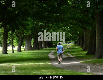 Jogging ist eine Form der Trab oder auf einem langsamen oder gemächliche Tempo laufen. Die Hauptabsicht ist körperlichen Fitness mit weniger Stress auf den Körper als schneller Ausführung erhöhen oder eine konstante Geschwindigkeit für längere Zeit aufrecht zu erhalten. Über große Entfernungen durchgeführt, ist es eine Form des aeroben Ausdauertraining. Hagley Park ist der größte städtische Freifläche in Christchurch, Neuseeland, und entstand im Jahre 1855 von der Landesregierung. Stockfoto