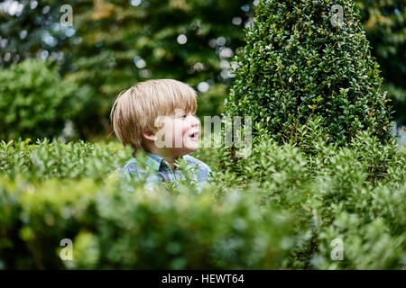 Junge, umgeben von Laub wegschauen Stockfoto
