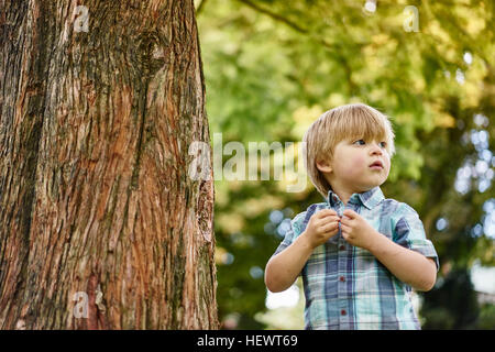 Boy von Baum wegschauen Stockfoto