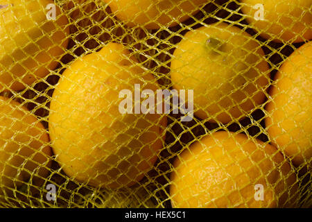 gelbe Zitronen im Netz - fotografierten closeup Stockfoto