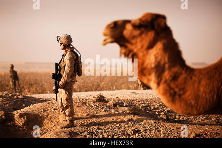 NAWA, Provinz Helmand, Islamische Republik Afghanistan – Lance Cpl. Steven Finlayson, Teamleiter mit Stabskompanie, 3. Bataillon, 3. Marine Regiment, hält vor der Rückkehr in die Forward Operating Base Geronimo nach der Gewährleistung der Sicherheit in Nawa, Afghanistan 17. November 2010. Finlayson und seiner Mannschaft zur Verfügung gestellt Sicherheit während des afghanischen nationalen Armeesoldaten und US-Armee Personal gab liefert als eine Geste des guten Willens während der muslimischen Feiertag Id al-Adha, das Opferfest. (Foto: offizielle Marinekorps Sgt. Mark Fayloga) Flickr - DVIDSHUB - Afghanistan, US-Kräfte Ausbreitung Urlaub jubeln Stockfoto