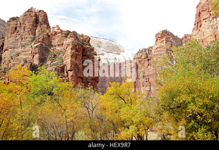 Erste Nationalpark in Utah folgen Sie den Wanderwegen ging wo alten Ureinwohner und Pioniere. Massiven Sandsteinfelsen von Creme, rosa und rot, die in strahlend blauem Himmel schweben bestaunen. Erleben Sie die Wildnis in einem schmalen Schlitz-Canyon. Zions einzigartige Vielfalt von Pflanzen und Tieren werden Sie verzaubern, wie Sie die reiche Geschichte der Vergangenheit absorbieren und genießen Sie die Aufregung der Gegenwart Abenteuer. Stockfoto