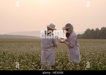 Männliche und weibliche Imker Inspektion Werk in Blumenfeld, Ural, Russland Stockfoto