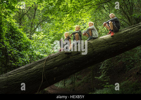 Junge im Wald sitzt auf umgestürzten Baum Stockfoto