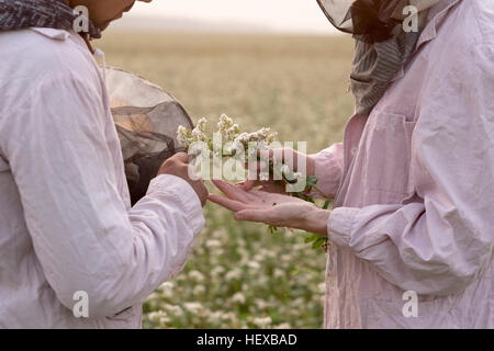 Schuss von männlichen und weiblichen Imker Inspektion Werk in Blumenfeld, Ural, Russland abgeschnitten Stockfoto