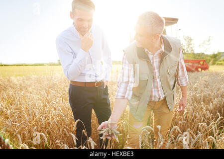 Landwirt und Geschäftsmann in Weizen Feld Qualitätsprüfung Weizen Stockfoto