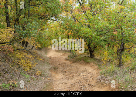 Steinigen Weg im Bergwald im Herbst-Saison, Halbinsel Krim Stockfoto