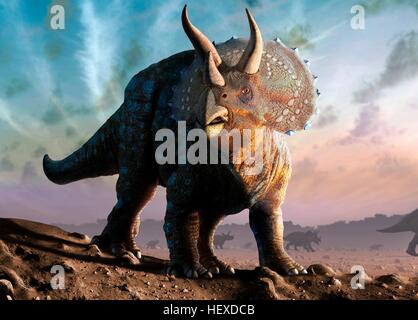 Artwork eines Triceratops Horridus Dinosauriers. Diese Tiere wurden häufig in der späten Kreidezeit vor etwa 70 Millionen Jahren bis zum Aussterben der Dinosaurier vor 65 Millionen Jahren. Triceratops war ein pflanzenfressender Dinosaurier, der eine Länge von bis zu neun Metern erreichen konnte. Seine Hörner und seinen Hals Schild verwendet, um sich gegen Angriffe zu verteidigen. Wie moderne Ebenen Tiere können sie gelebt haben in Herden, im heutigen Nordamerika. Stockfoto