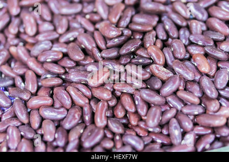 Dunkle rote Kidney-Bohnen Stockfoto