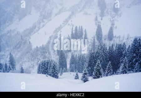 Österreich, größere Walsertal Damuls Stockfoto