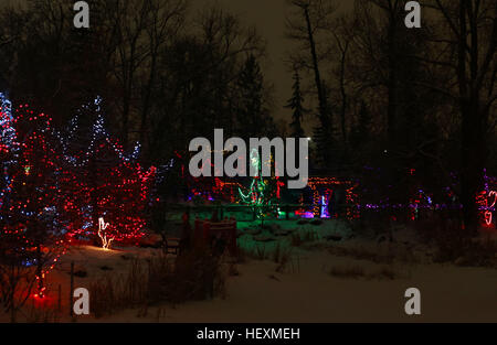 Calgary, Kanada. 23. Dezember 2016. Der Zoo von Calgary bewirtet seine jährliche Weihnachten Licht-Display, ZOOlights, mit mehr als 1,5 Millionen Lichtern und 200 Anzeigen im Zoo. ZOOlights läuft vom 25. November 2016 bis 8. Januar 2017. © Anna Ferensowicz/Pacific Press/Alamy Live-Nachrichten Stockfoto