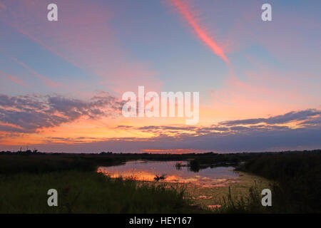 Strumpshaw Fen RSPB Naturschutzgebiet in den Norfolk Broads bei Sonnenuntergang Stockfoto