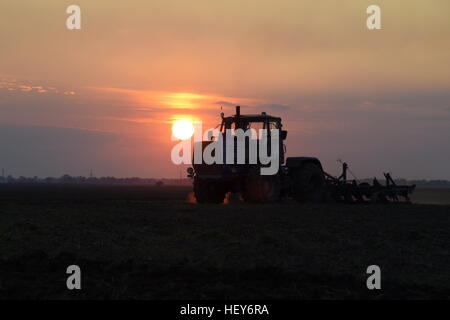 Traktor zu pflügen das Feld Pflügen auf einen Hintergrund Sonnenuntergang. Traktor-Silhouette auf Sonnenuntergang Hintergrund. Stockfoto