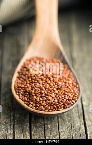 Rote Quinoa-Samen in den Kochlöffel. Stockfoto