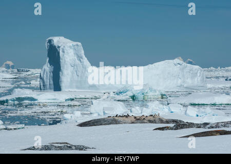 Eisberg in der Meerenge zwischen der antarktischen Halbinsel und die Inseln der Pinguin-Kolonie Stockfoto